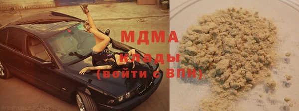 прущие грибы Балабаново