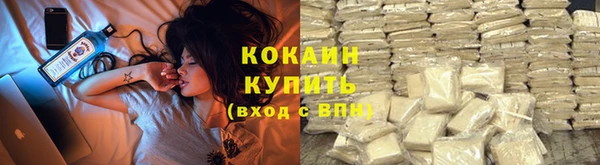 прущие грибы Балабаново