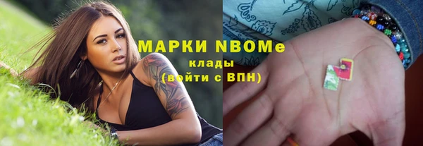 прущие грибы Балабаново