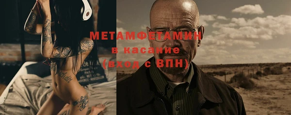 прущие грибы Балабаново
