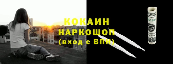прущие грибы Балабаново