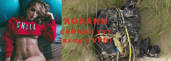 прущие грибы Остров