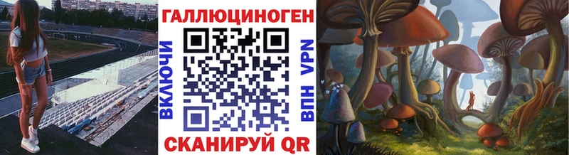 что такое   Ленск  Псилоцибиновые грибы Cubensis 